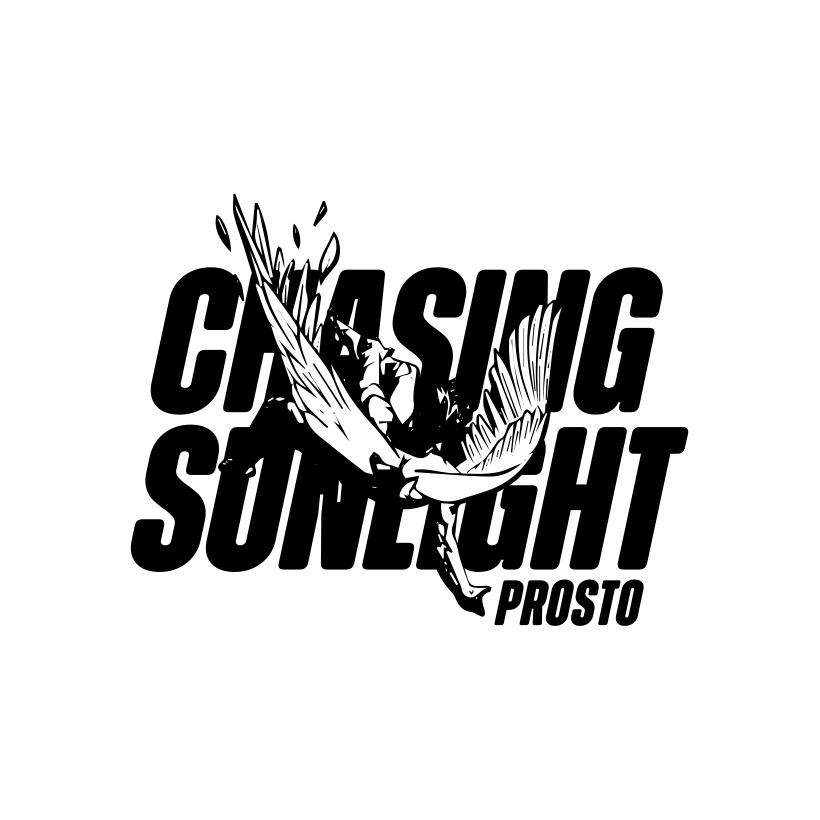 Naklejka Prosto Chasing sunlight